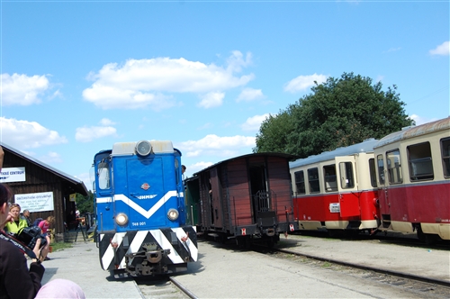 Obrázek v galerii